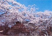 鳥羽山公園