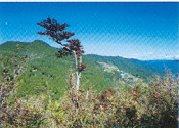 枯山高原