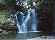 上野ふれあいの森